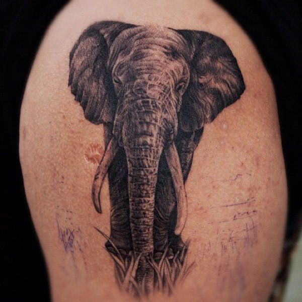 Elephant tattoos for men - Ideas for guys and image gallery