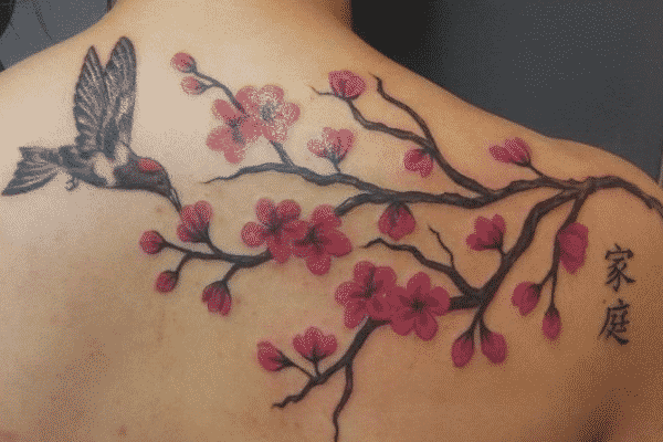Cherry Blossom Tattoos for Men - Ideas and Inspiration for Guys